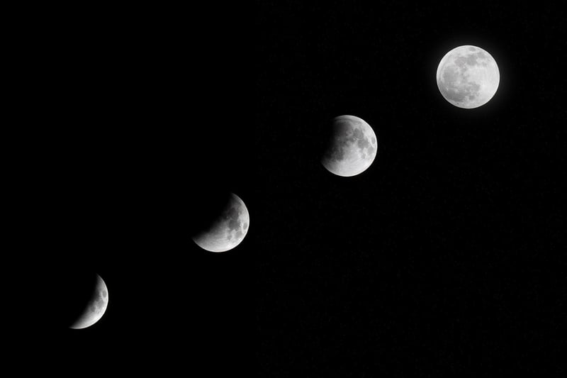 Moon Dance Party